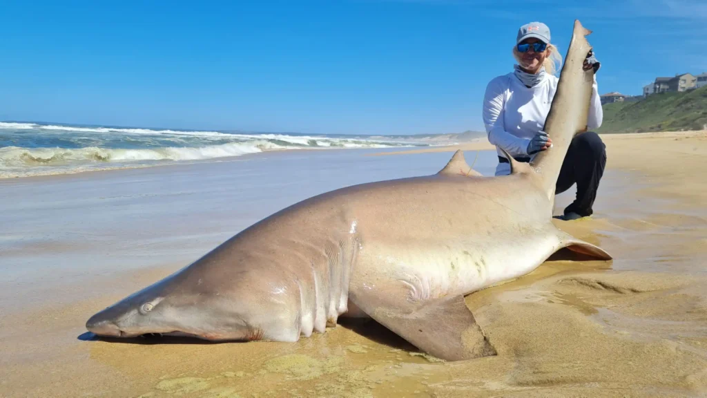 Mossel Bay Classic Shore Fishing Escape gofish mosselbay ragged tooth on the beach