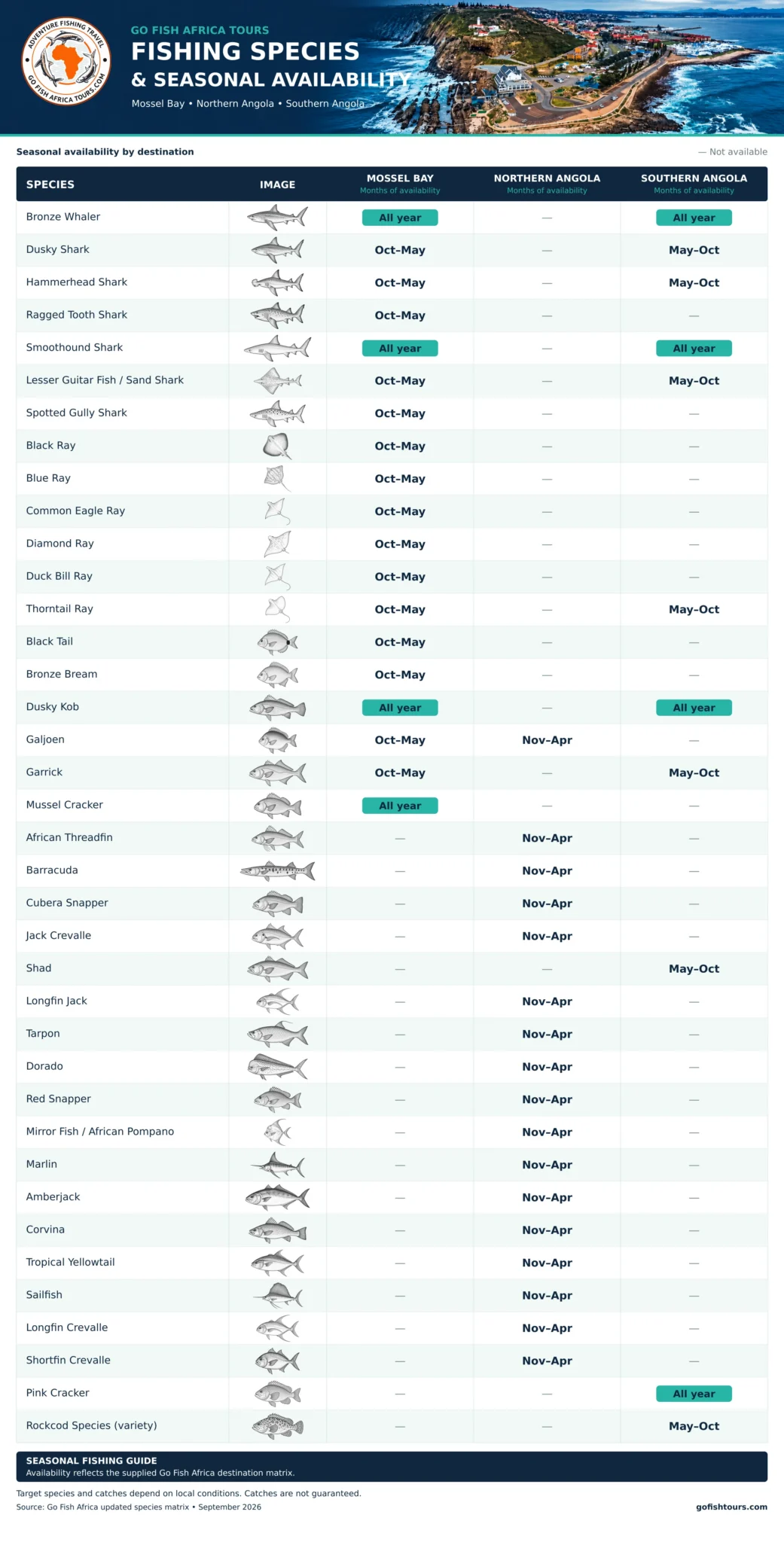 Mossel Bay Signature Harbour Fishing Escape gofish species seasonal matrix final